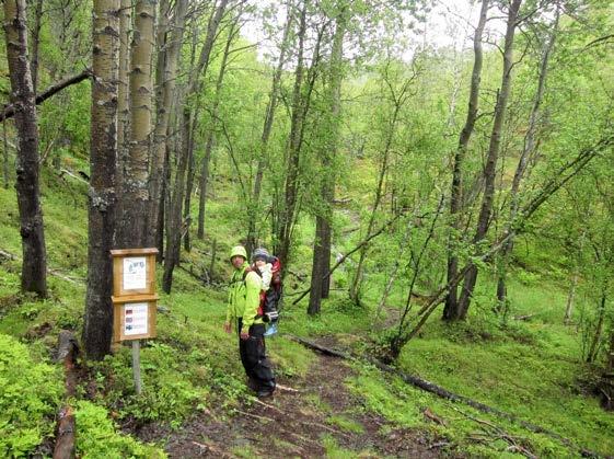 TRIMPOSTKASSETUR LULLEDALEN SKOGSTI Turens lengde 3,1 km Startpunkt Startpunktet for denne skogstien er Lullesletta i Skibotndalen.