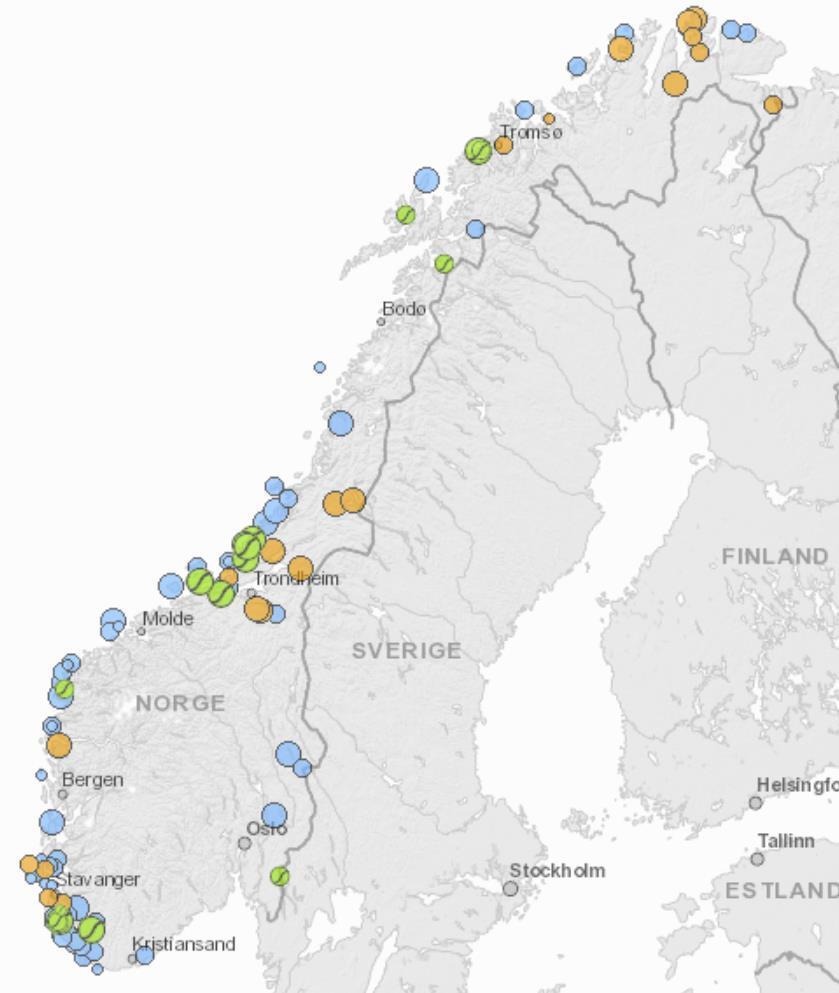 Potensialet for ny vind er stort, ikke minst i Norge Vindprosjekter - konsesjonsstatus NVE Under bygging/detaljplanlegging Konsesjon gitt Under behandling 40 35