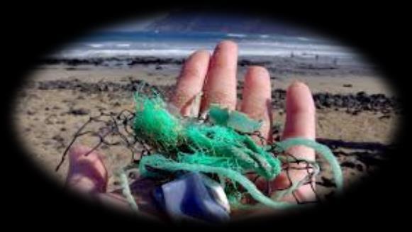 september 2017, på den nasjonale strandryddedagen Hald hausten rein og varer til alle strender er reine. Dette er ein oppfølgjar til plastpanten, eit prøveprosjekt i SUM-kommunane.