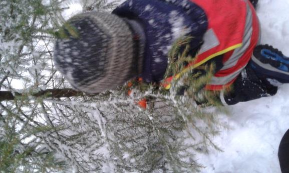 Vi skal ta inn masse snø og se på snøkrystaller denne måneden på lys og skygge.