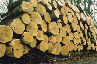 Kod proizvodnje trupaca pro{le godine plan je ostvaren sa 103, kod ogrjevnog drva sa 56, ukupno sa 81 %.