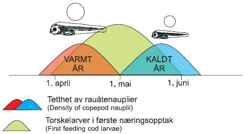 Fiskelarver trenger rett