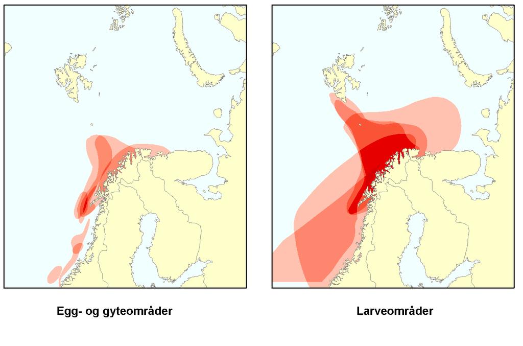 Arnestedet for våre