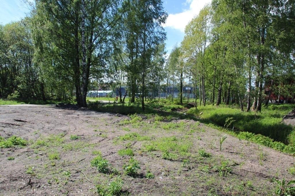 Ved innkjøring til hockeyhallen er planert og planter er i ferd med å etablere seg. I sonen langs Øreveien etableres plen med naturlig overgang til eng langs bekk og landskap mot nærmiljøanlegg.