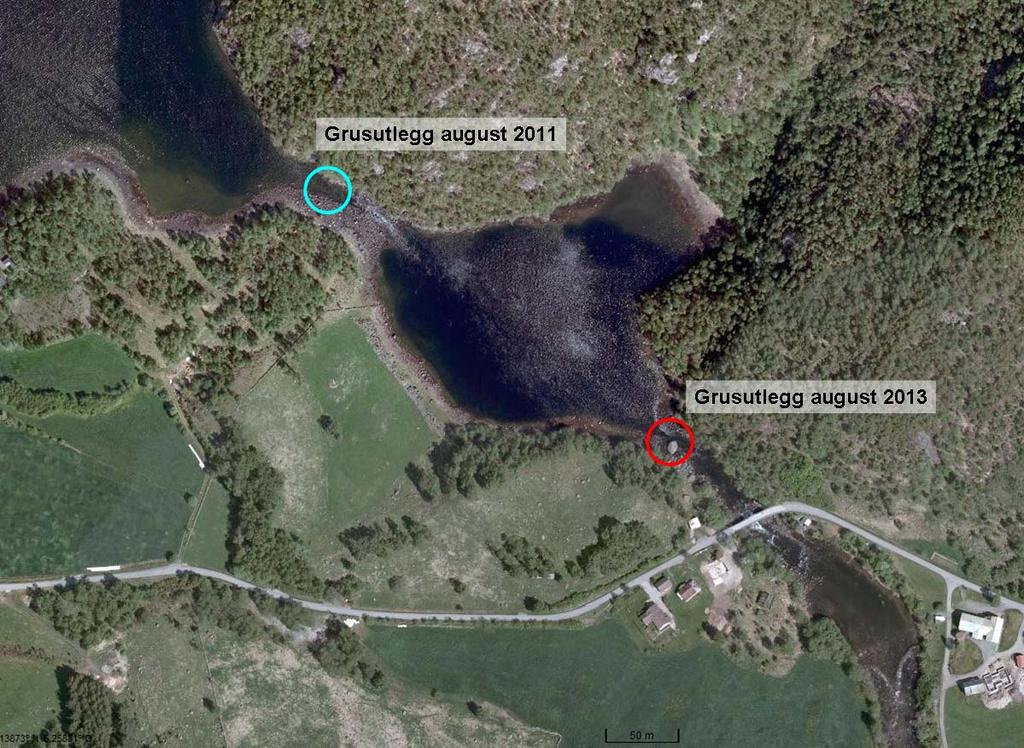 Figur 1: Oversikt over eksisterende grusutlegg i Bjørg i utløpet av Øvre Tysdalsvatnet (blå sirkel) og foreslått område for etablering av ny gyteplass i utløpet av Halshølen (rød sirkel).