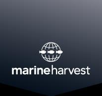 DVM CTO/ Global Director R&D and Technical, Marine