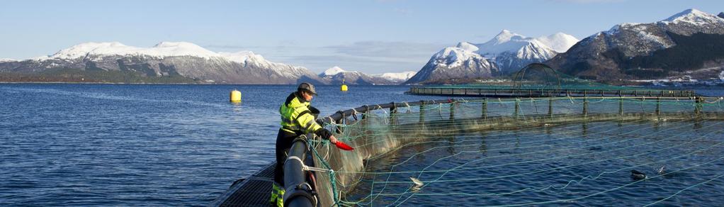 Hva karakteriserer næringen vår-