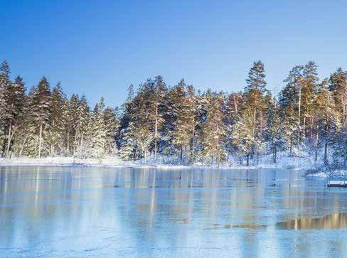 SØNDAG 4 MARS 10:00 God søndag med Johnn Hardang 11:00 Livets Ord gudstjeneste 12:00 Gatelangs med Jan Fra tirsdag 12:30 Jesuskvinner For damene!