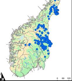 2014 5 3 (1 med «hovedtilhold» i Oppland) 2015 10 1 (1 med «hovedtilhold» i Oppland) 2016 10 2 (de to individene er «plassert» i