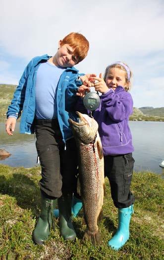 Fig. 6. To fornøgde, unge fiskarar med stor aure teken på garn i Kvennsjøen i august 2011. Den var 5,14 kg og 77 cm.