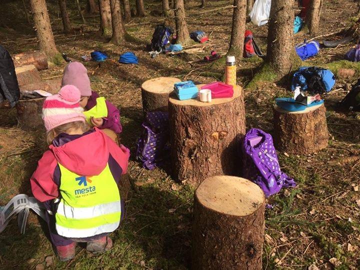 3.0 VIKTIGE OPPLYSNINGER Porten Forsent hentet barn Bilkjøring Parkering Husk å lukke portene når dere kommer inn i barnehagen og når dere går fra barnehagen. Sett på sikkerhetskroken.