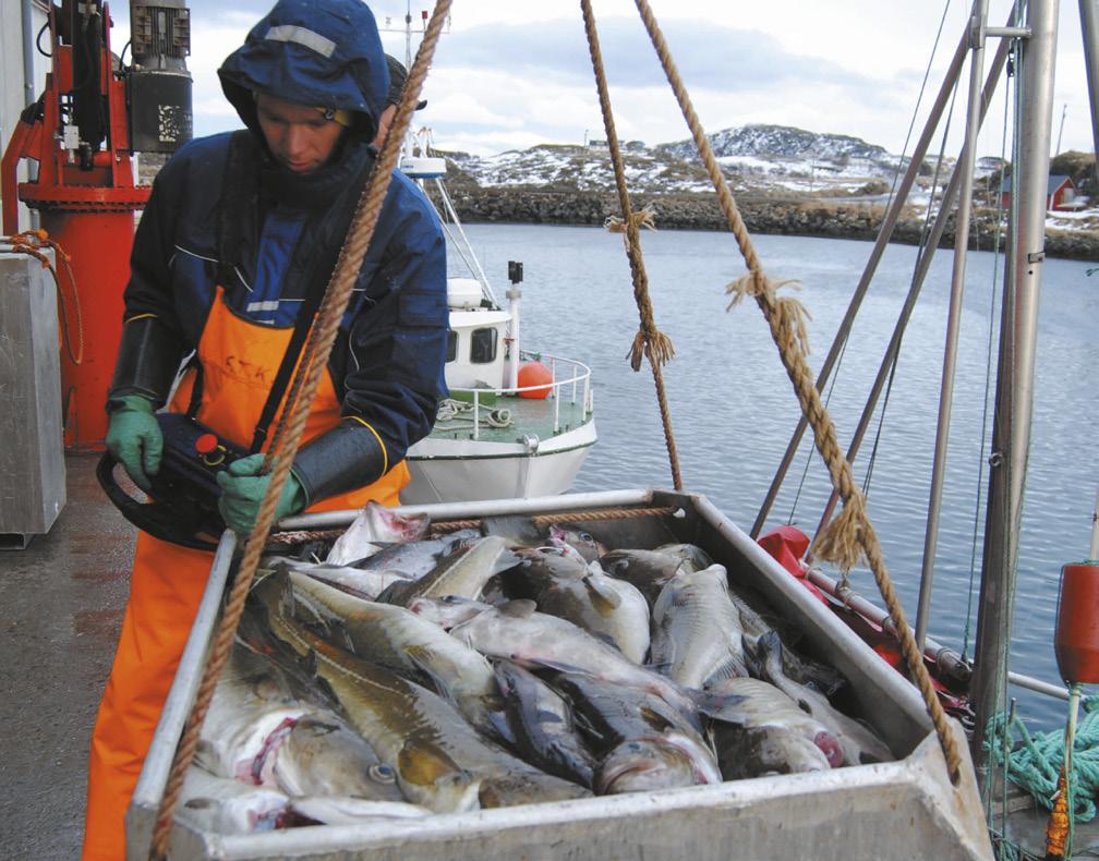 Håndverk Yrkesklær Bestselgere fiskehansker 670-ARM / 770-ARM Produktnr.