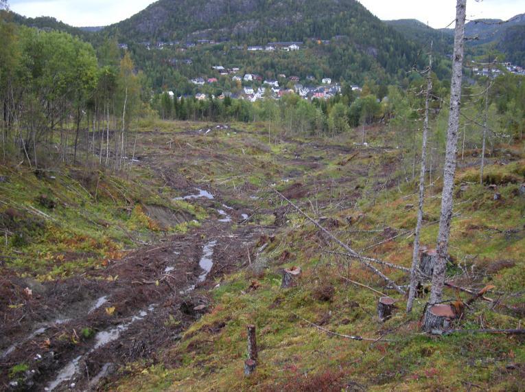 i retning nord/vest Bildet er tatt fra ca posisjon