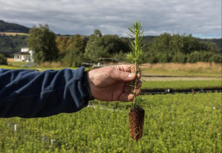 Stabil råstoff-forsyning på kort og lang sikt Pågående aktivitet