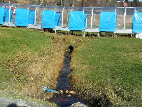 Lokal Infiltrasjon i området avgjør hvor mye vann som skal fordrøyes. Det må være noe som kan dempe, fordrøye og forsinke vannet, som sedum, steinfylling, grøfter og regnbed.