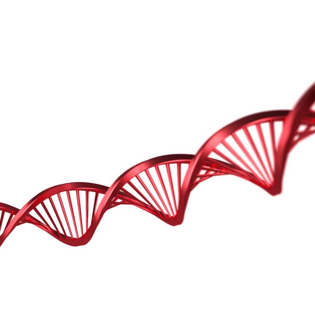 remium-dna Vårt kvalitetstempel til deg Det er både en utfordring og en forpliktelse: remium DNA er vårt kvalitetstempel til alle kunder og sammenfatter det som utmerker alle våre bobiler.