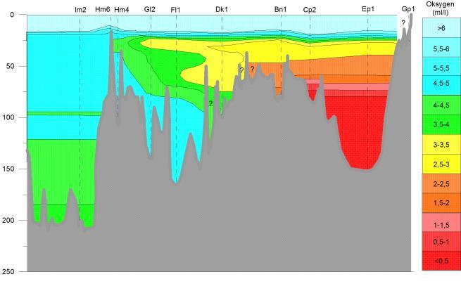 I 2017 foregikk det en reduksjon i oksygenfinnholdet i bunnvannet i Vestfjorden gjennom sommeren og utover høsten.