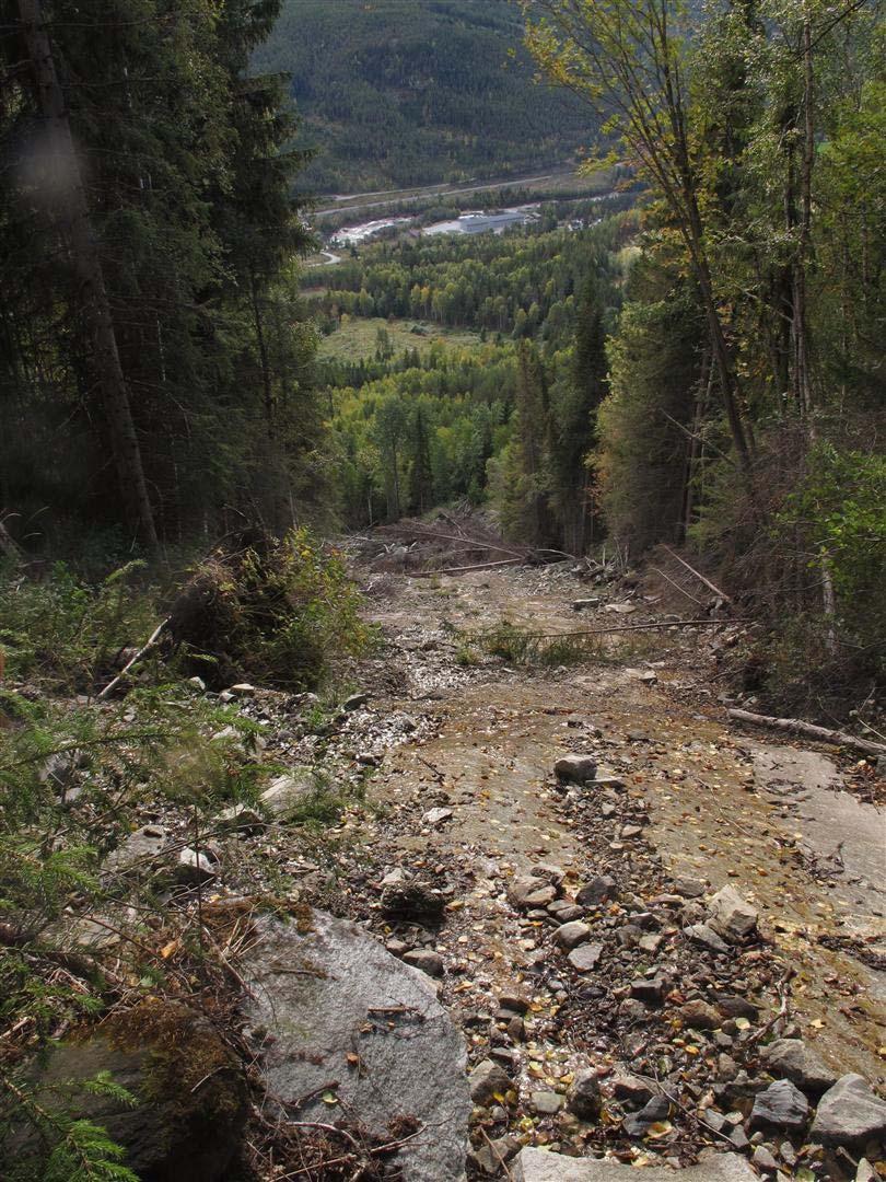 Figur 82. Et ras har nylig gått på lokaliteten. Skjøtsel og hensyn: For å øke naturverdiene på lokaliteten bør det bli mer gamle og grove trær og død ved.