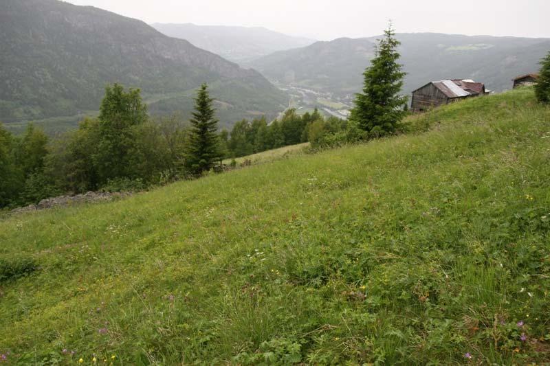 Figur 17. Lokaliteten sett fra sørligste del av området. Foto: Jørn Magne Forland Beliggenhe