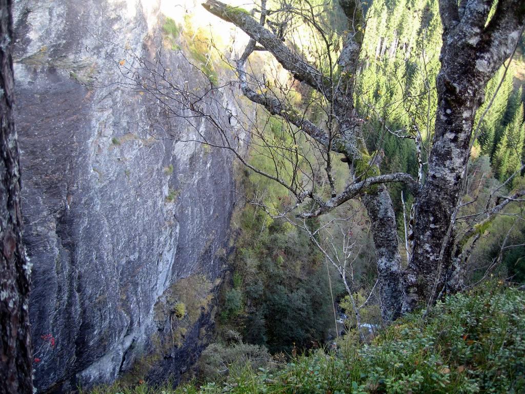 Vegetasjonssoner og -seksjoner Forvaltningsområdet ligger i sin helhet innenfor sørboreal vegetasjonssone. Hele området er også innenfor den svakt oseaniske seksjon O1 (Moen 1998).