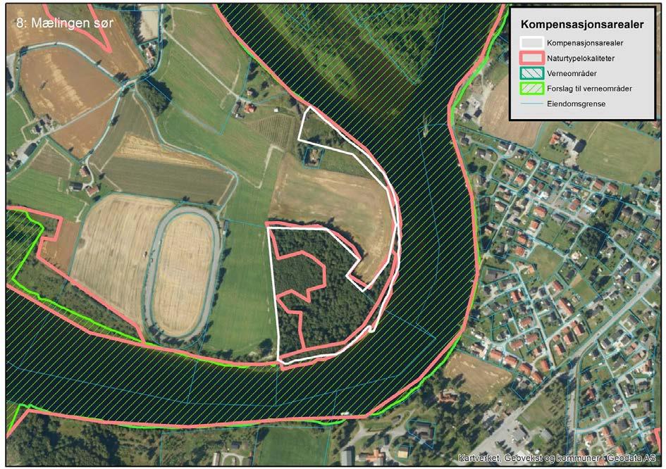 63 av 92 Kompensasjonsareal 8 Mælingen sør (A-lokalitet) (49 daa) Kort naturfaglig beskrivelse (for detaljer, se kartleggingsrapport Bane Nor 2016) Kompensasjonsarealet består hovedsakelig av gammel