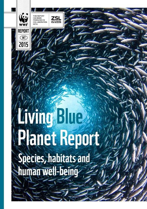 Menneskets fotavtrykket reflekteres i havet Living Blue Planet Report (2015) 49 % av mengden dyreliv i havet har forsvunnet 50 % av de kommersielle fiskebestandene ¾ av alle verdens
