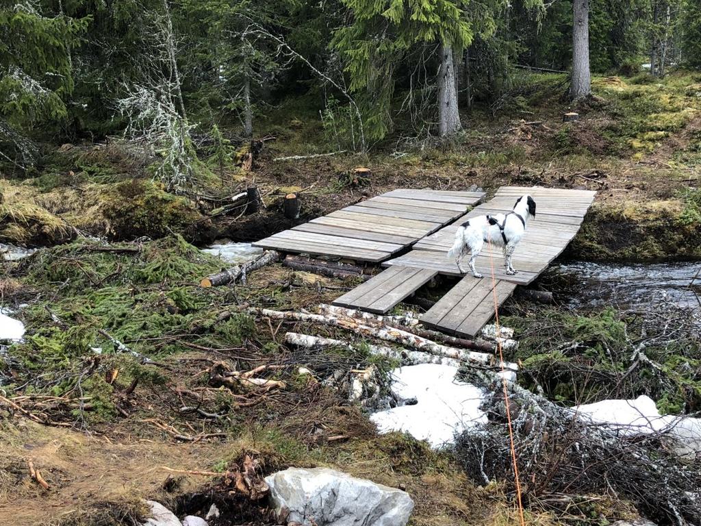 Brua inn til Røisjøen Takket være Grunneier Børke og en