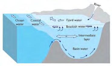 Vedlegg 1 Generelt om straum i Norske fjordar Utveksling av vassmassar mellom fjordvatn og kystvatn er en sum av fleire dynamiske komponentar.