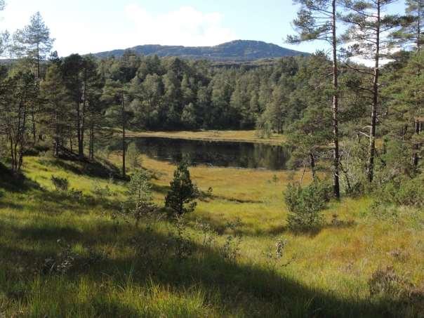 Fylke Antall lokaliteter Naturbase Østfold 6 Akershus og Oslo 12 7 Hedmark 44 22 Oppland 45 27