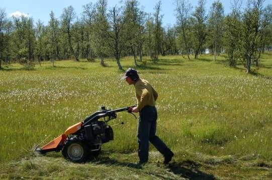 Oppskrifta på ei slåttemyr: Slå med