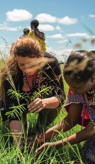 En bærekraftig gjenplanting i fremtiden, hvor dyre- og plantelivet blir bevart og slik gjennopplive den originale balansen av Masai Maras økosystem.