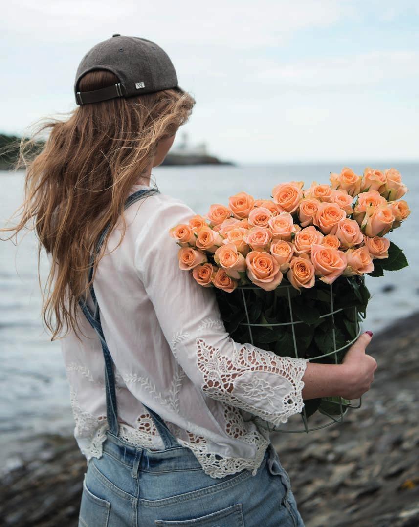 favorittroser At vi elsker roser er ingen hemmelighet, derfor har vi flotte roser hele året! Favorittrosene er store, flotte roser som selges i buketter på 10 stk og er 50 cm lange.