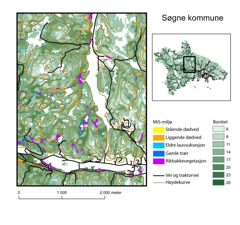 Figur 6. Kartutsnitt fra Søgne kommune som viser fordeling av MiS-miljøer i landskapet.