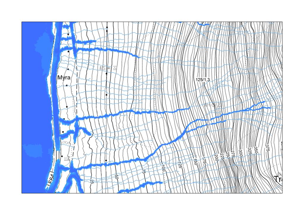 Figur 20. Kart med beregnet markfuktighet (DTW: mørk blå) og potensielle vannveier (flow accumulation: lys blå).