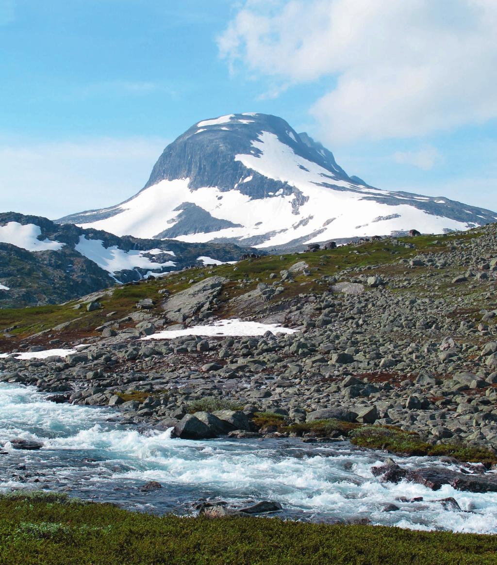 Forvaltingsplan for verneområda i Breheimen Publikasjonsnummer 978-82-691091-0-8 Breheimen nasjonalpark, Strynefjellet landskapsvernområde,