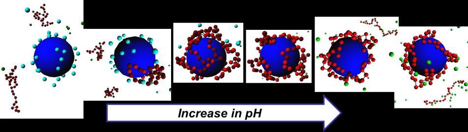 biopolymer-baserte nanostrukturerte materialer, og deres anvendelse i biomedisinsk forskning. http://www.ntnu.