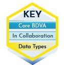 BDV Big Data and