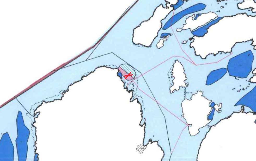 Faunaundersøkelsen viste en høy diversitet ved funn av flere arter børstemark (inkludert rørbyggende), og flere arter pigghuder (sjømus og slangestjerne).