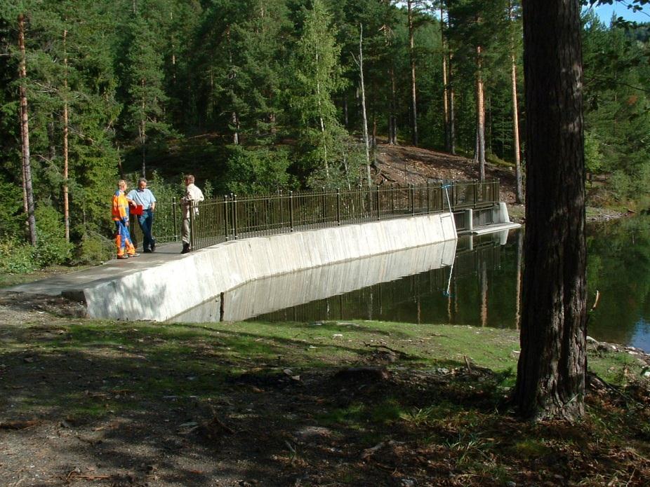 3 Bilder Bilde av dammen fra ferdig befaring 2003.