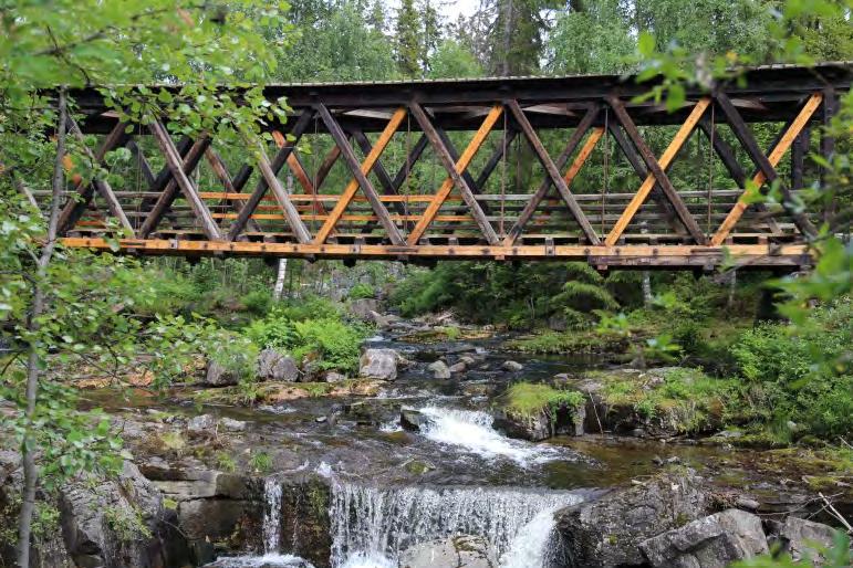 Egenorganisert aktivitet som friluftsliv når ofte grupper som den organiserte idrettene ikke når, og friluftslivsaktivitet har en jevnere fordeling i