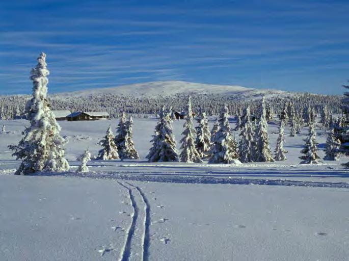 Nevelfjell (1089 m.o.h) er det snaufjellet som ligger nærmest Lillehammer by.