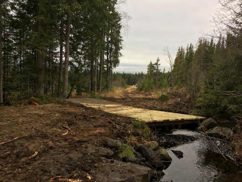 Registrerte ønsker/aktuelle tiltak - Kanalen Kanthaugen, turveg/skiløype - Planfritt kryss over Nordsetervegen ved Skurvbrua - Toalettanlegg ved utfartsparkeringsplassene - Birkebeineren