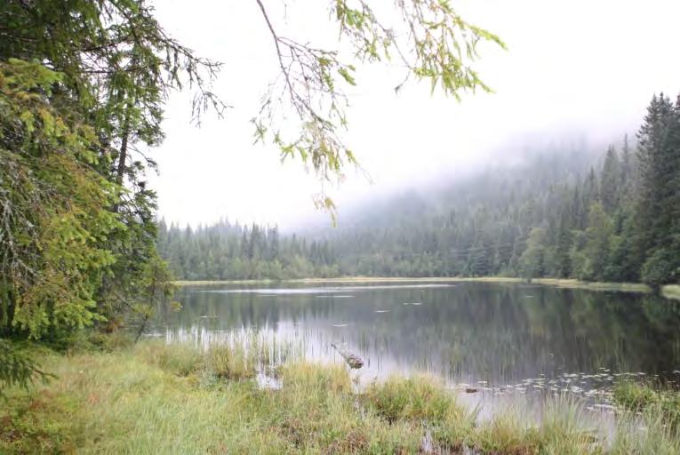 Beskrivelse: Kinnkjølen og Rukkjølen er naturlig avgrenset av Gausdal, Saksumdal og Auggedalen. Området er av de minst berørte i kommunen og den indre delen er i all hovedsak fri for veger og hytter.