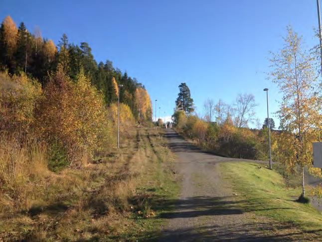 Tverløypa bør opparbeides og lyssettes som skoleveg i forbindelse med nye Nordre Ål skole.