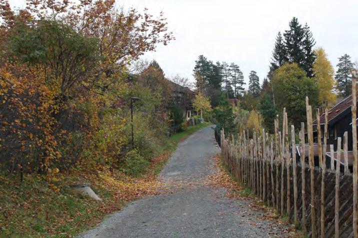 Strandsonen Fåberg Trangerud Lillehammers strandsone har betydelige kvaliteter og et stort potensial som by- og bolignært friluftsområde.