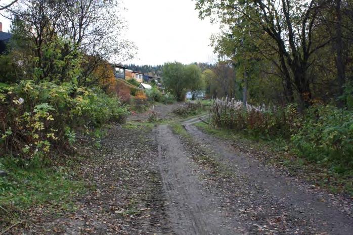 Tilgjengelighet til strandsonen for beboere i Søre Ål er viktig. Tilknytning til Tverrløypa. 12.