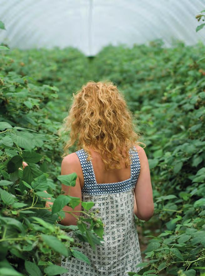 PRODUKTINFORMASJON PRODUKTINFORMASJON YaraTera KRISTA MKP Vanligste bruksområder: Hovedfosforkilde i selvblanderkonsept, supplement til grønnsaker og pottekulturer. Løselighet: ca. 20 %.