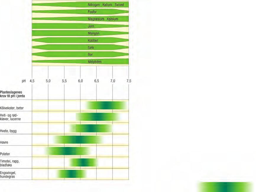 KALKING OG ph KALKING OG ph KALKTILSTANDEN ER VIKTIG FOR NÆRINGSSTOFFENES TILGJENGELIGHET I sur jord utsettes planterøttene for høy konsentrasjon av aluminiumioner (Al 3+ ), dette hemmer rotveksten.