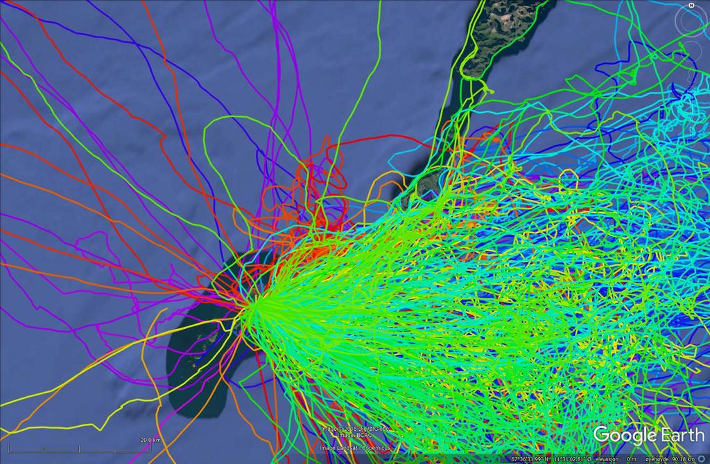 GPS SEAPOP upubliserte