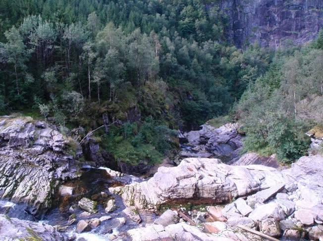 Avgrensing og arrondering Forvaltningsområdet i Dalaelva sammenfaller med avgrenset naturtype bekkekløft og bergvegg (F09).